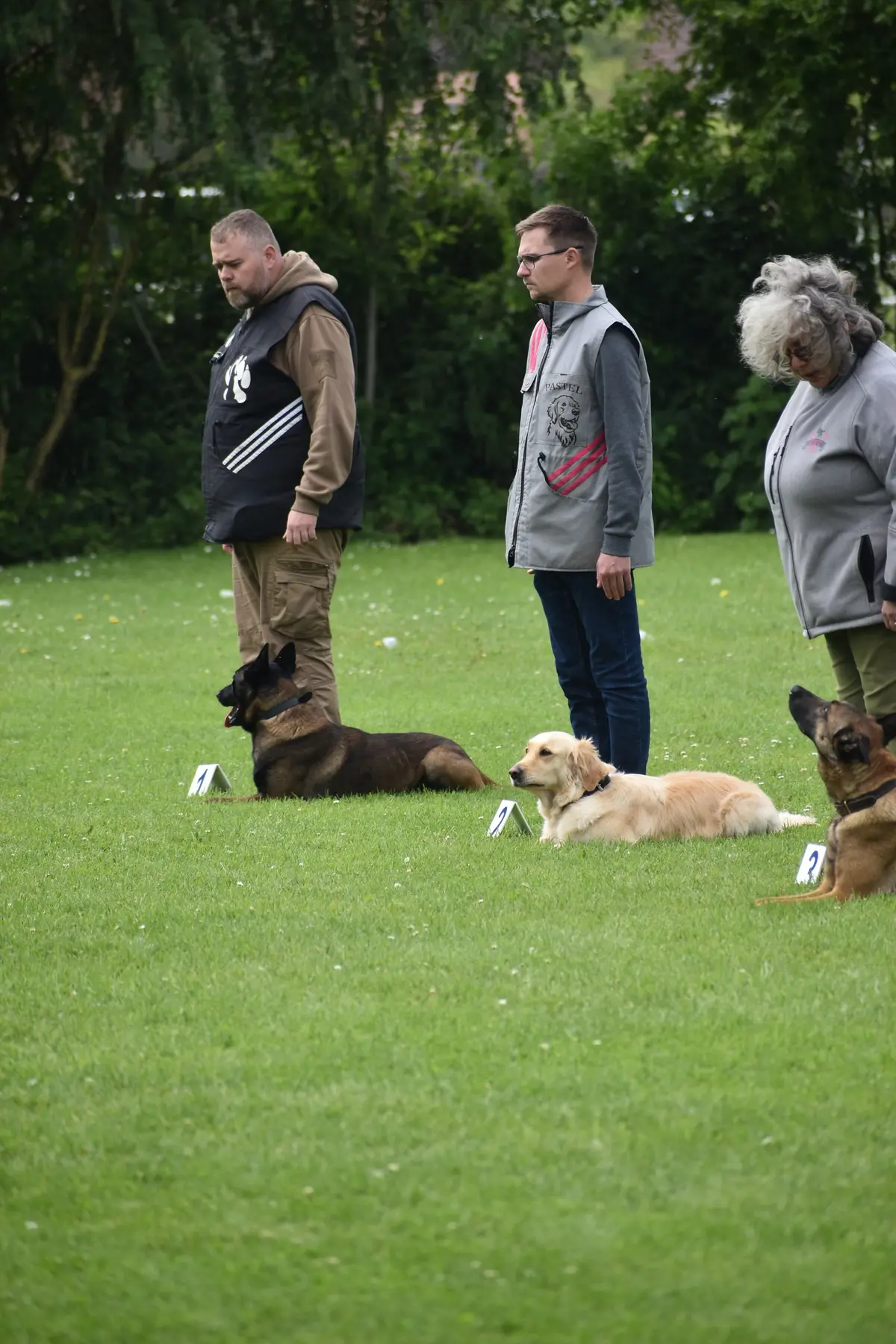 Exercice d’absence en obéissance avec plusieurs chiens et conducteurs du club