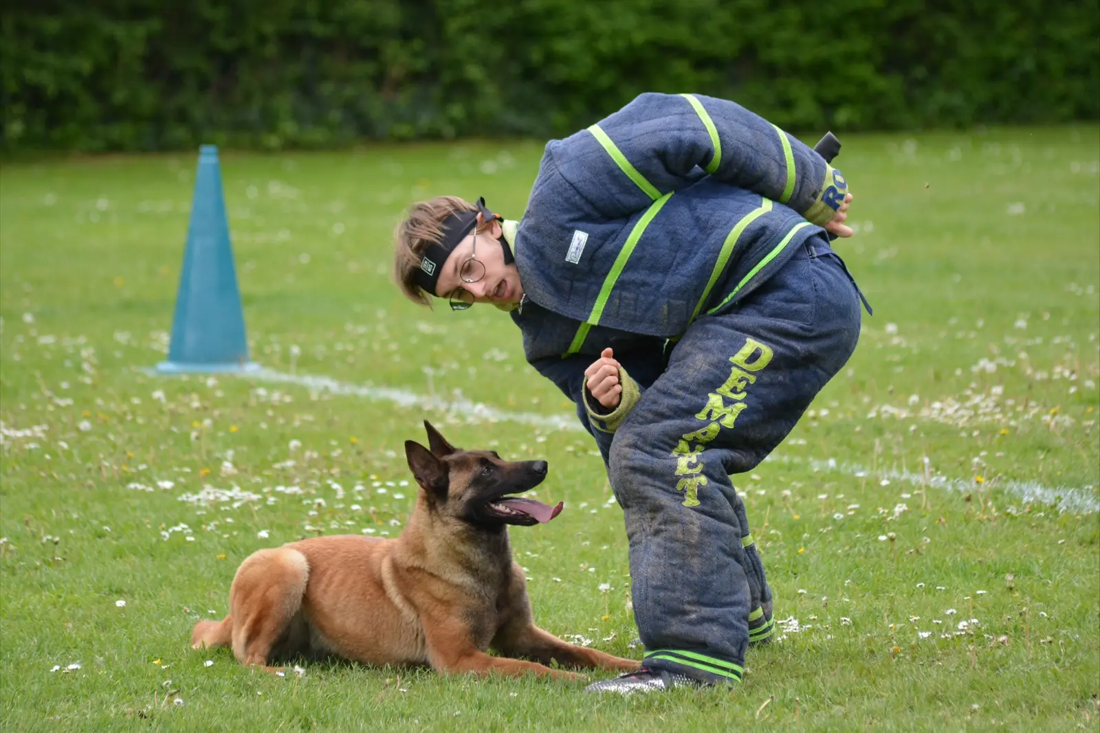 Chien en exercice de Ring avec une personne équipée